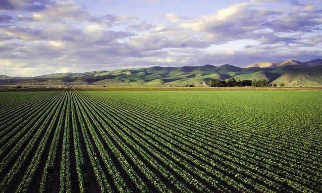 農(nóng)業(yè)有機(jī)廢棄物資源化利用技術(shù)與設(shè)備