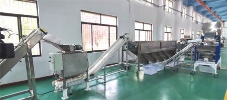 核桃去青皮清洗、提升機(jī)