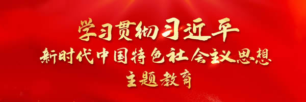學(xué)習(xí)貫徹習(xí)近平時(shí)代中國特色社會(huì)主義思想主題教育